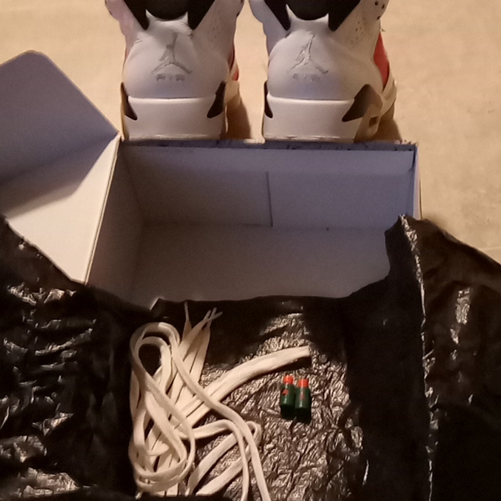 Air Jordan 6 Gatorade